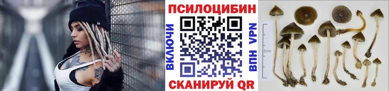 Псилоцибиновые грибы MAGIC MUSHROOMS  Коломна 