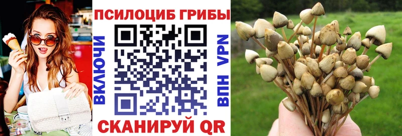 Галлюциногенные грибы мухоморы Коломна